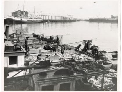 Chinese fishermen with a sardine catch, East San Pedro, Los Angeles Harbor, General Subjects Photography Collection