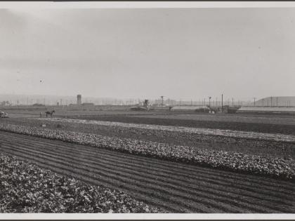 Japanese truck farms, Centinela Avenue and Ballona Creek; uplifted beach in background, Los Angeles, 1932-33 by Anton Wagner, PC 017